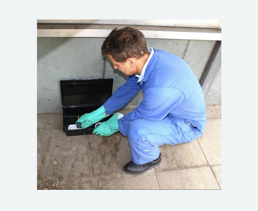 Дератизация помещения в Бодайбо Дератизация помещения