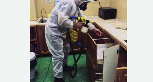 Уничтожение насекомых в квартире. Бодайбо