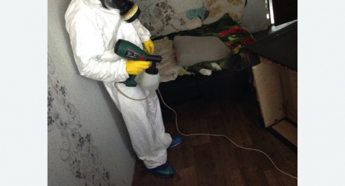 Обработка квартир от насекомых в Бодайбо