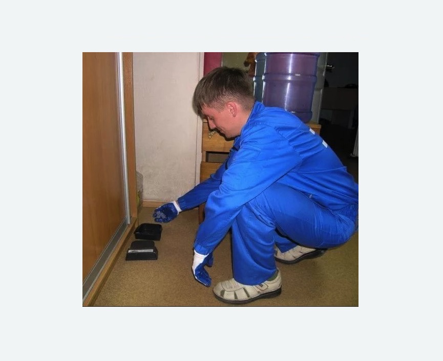 Дератизация крыс Дератизация крыс в Бодайбо