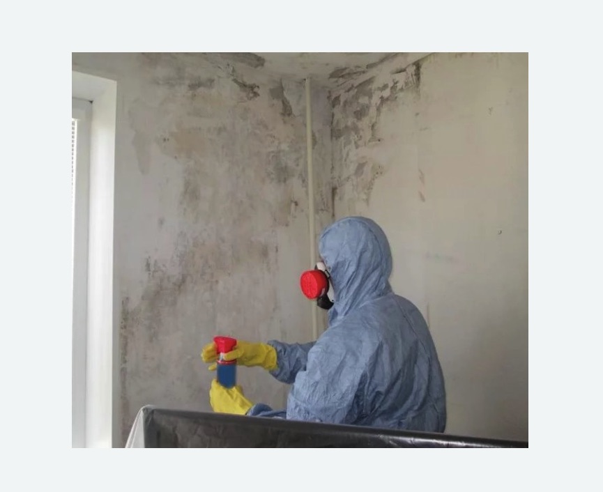 Удаление плесени в квартире Удаление плесени в квартире в Бодайбо