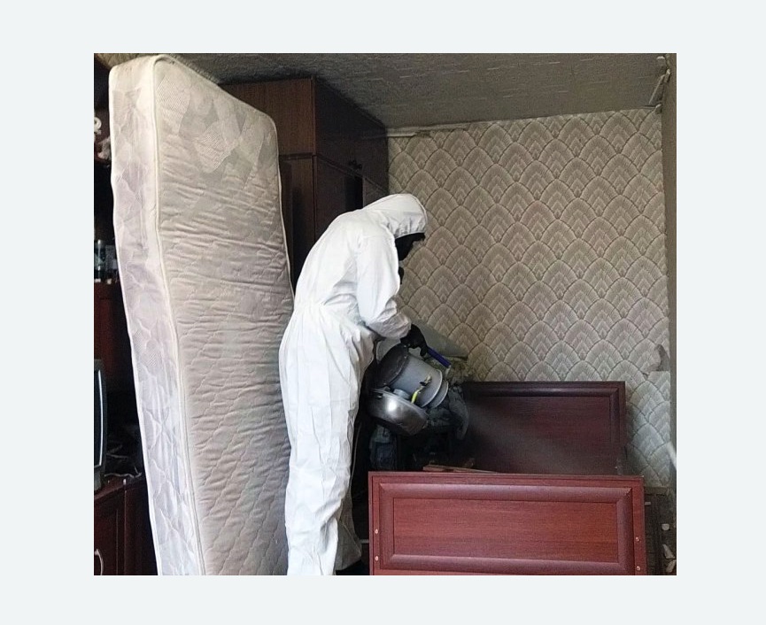 дезинфекция от клопов в Бодайбо