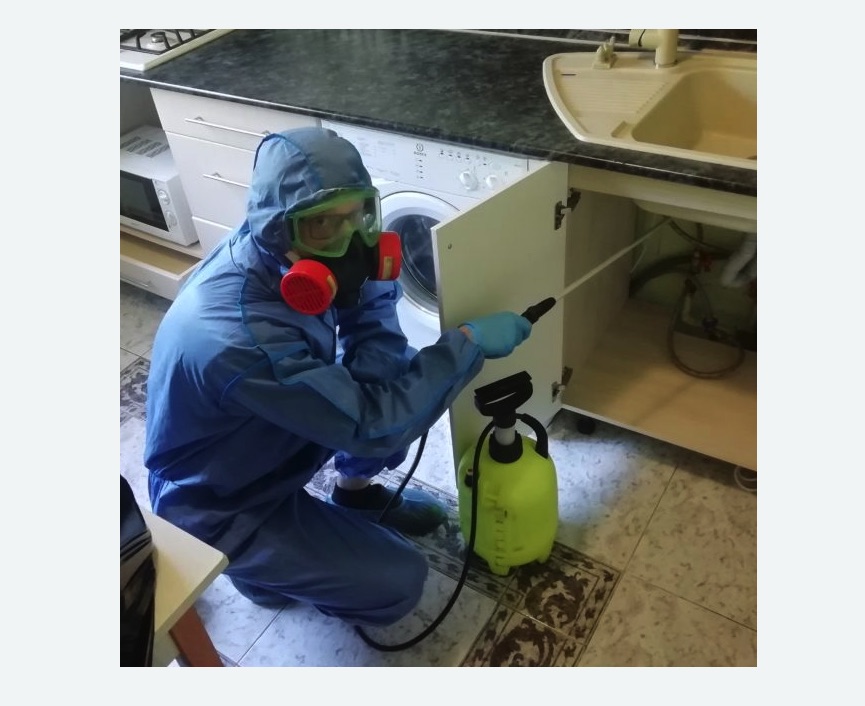 обработка от муравьев в квартире в Бодайбо