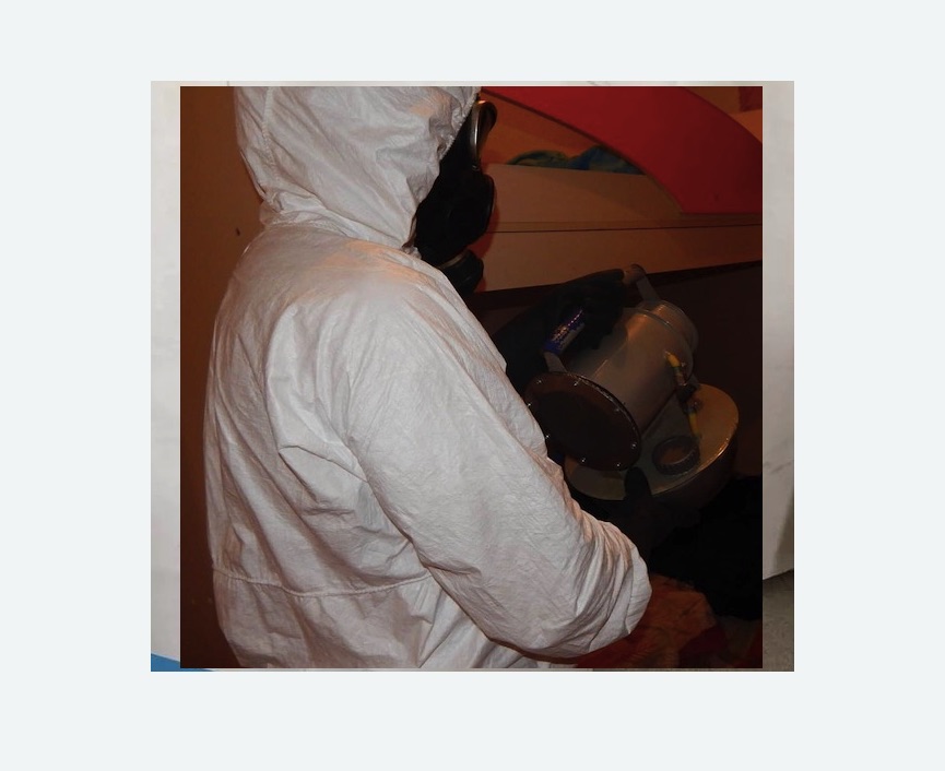 Дезинфекция от муравьев в Бодайбо